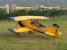 Pitts Python 50cc Scale Aerobatic RC Model Plane ARF 1.78m